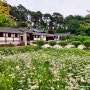 강릉 여행길에 차분하게 산책 힐링되었던 한국 최고의 전통가옥 선교장