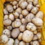 마음씨농장 감자수확, 마늘수확