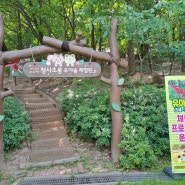 의정부 아이와 가 볼 만한 곳 청사초롱 유아 숲 체험원, 경기 평화 광장 북 카페