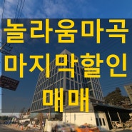 마곡 놀라움 지식산업센터 장마감 할인가 매매 단10일