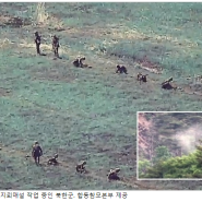 DMZ에서의 지뢰 폭발 사고와 북한군의 무리한 작업