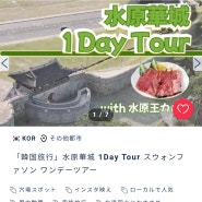 Buyma Travel 수원 화성 1Day 투어 (일본어)