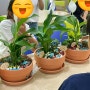 접시정원 디쉬가든 만들기 흙놀이 생태교육 공기정화식물 부모자녀프로그램 김제 원예교육 강사