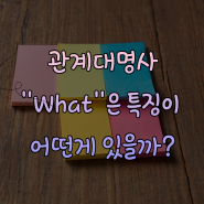 영어 관계대명사 what과 that의 특징 궁금하다면?