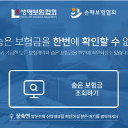 라이프캐치 후기, 라이프캐치 수수료, 생명 보험 협회 내 보험 찾아 줌 후기, 숨은 내 보험금 찾기, 내가 가입한 보험 조회하고 싶다면?