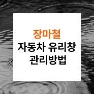 장마철 자동차 유리창 관리방법