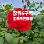 장위뉴타운6구역 무허가 서두르세요`^^