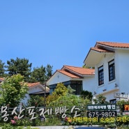 태안 몽산포 제빵소 정원이 이쁜 포레스트 베이커리 카페
