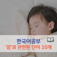 [한국어 공부] '잠(sleep)'과 관련된 단어 10가지 공부하기