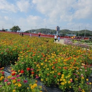 하반기 달라지는 부동산제도....