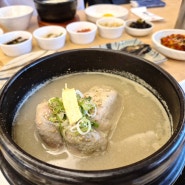 창원 가로수길 삼계탕 순두부 잘하는 한식 맛집 '백제13월 가로수점'