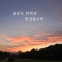 당신의 선택은 무엇입니까