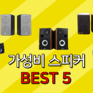 가성비 스피커 추천 앰프 스탠드 5만원대 BEST 5