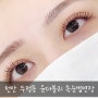 천안 두정동 속눈썹연장 잘하는곳 d컬 11mm~12mm 후기[윤더블리]