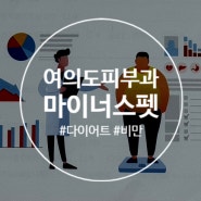 여의도 피부과 마이너스 펫 복부 비만 내 돈 내산 솔직 후기