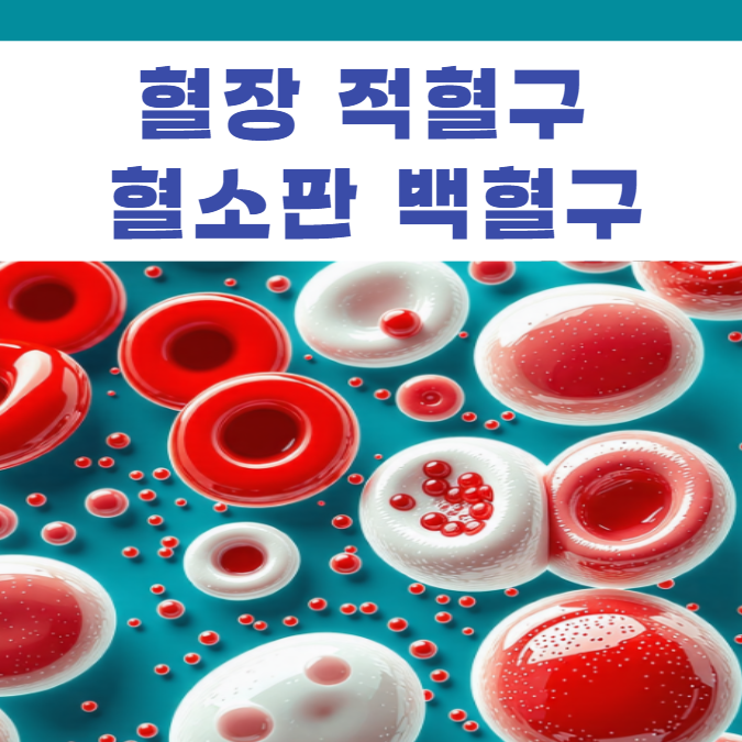 혈장 적혈구 혈소판 백혈구(림프구 단핵구 호중구 호산구 호염구) : 네이버 블로그