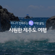 시원한 제주도 바다에서 여름맞이 | 여름철 제주도 여행지 추천!