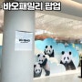 더현대 서울 바오패밀리 팝업 예약 방문 후기+웨이팅 대기시간, 굿즈 종류
