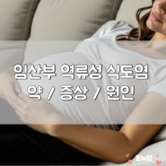 임산부 역류성 식도염 약 먹을까 말까 고민된다면