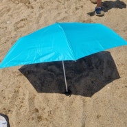 쿠팡 우산 추천 : 튼튼한 우산 카르페디엠 우산 양우산
