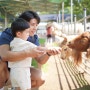 쥬쥬랜드 동물농장 실내 동물원 찾는다면? 서울 아이랑 갈만한 곳