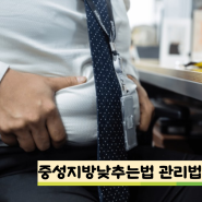 중성지방낮추는법 중성지방정상수치 식단 관리방법