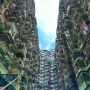 홍콩여행 사진찍기좋은곳 익청빌딩