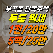 부곡동 단독주택 월세 500/25만, 1천/20만 즉시입주 옵션있음 즉시입주