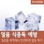 얼음식중독 :: 얼음 속 세균 바이러스 예방법 얼음트레이 세척 필수