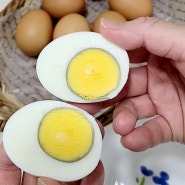 아무도 모르는 비법 계란 삶기 시간 계란삶는법 감동란 만드는법