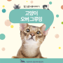 고양이 오버그루밍 이유 / 오버그루밍 기준 / 고양이 그루밍 못하게 해야 할까요?