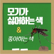 모기가 싫어하는 색 외출시 이런색의 옷은 피하세요