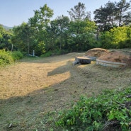 보성군 노동면 벌초대행서비스 보성 산소 벌초대행