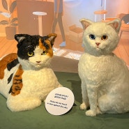 서울 아이들과 가볼만한 이색 무료전시 국립민속박물관 요물 우리를 홀린 고양이