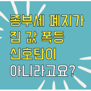 종부세 폐지가 집 값 폭등 신호탄이 아니라구요?