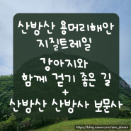 [제주도 서쪽 가볼 만한 곳/애견동반여행] 산방산 용머리해안 지질트레일 강아지와 함께 걷기 좋은 길+산방산 보문사와 산방사