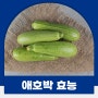 애호박의효능, 칼로리 애호박 고르는 방법