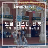 디즈니랜드 디즈니씨 티켓 구매 가격 할인 도쿄역에서 가는 방법 모노레일 운영시간