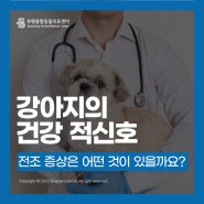 [24시부평종합동물의료센터] 강아지 건강적신호, 어떤 것이 있을까요?함께 알아보아요!