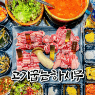 고속터미널 고기집 반포한강공원 맛집 고기꿉는 하시무