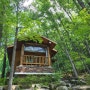대구여행 / 비슬산 자연휴양림 숲속의 집, 자귀나무
