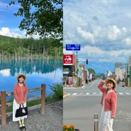 홋카이도 비에이 버스투어 6월 7월 여름여행