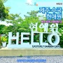 제주 6월 7월 동쪽 가볼만한 곳 제주도 수국 축제 현애원