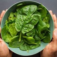 시금치 알레르기 l Spinach Allergy