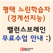 평택 느린학습자(경계선지능) 밸런스브레인 무료수업 안내 :) (평택부락종합사회복지관, 느린아이, 경계성, 발달지연, 인지발달운동, 심리운동, 사회성수업)