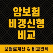 암보험비갱신형비교 확인하고 보장 상품 체크하기