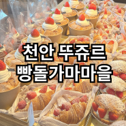 천안 뚜쥬르 빵돌가마마을 소금빵 거북이빵 종류 후기