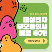 미국으로 부모미동반 미국 여행 부모동의서 발급 후기 (입국심사 호텔 제출용)