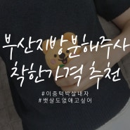 부산지방분해주사 리포사T 저렴하고 친절한 곳 (내돈내산 1회차)