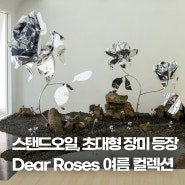 스탠드오일 성수 | Dear Roses 장미 컨셉으로 들어온 여름 컬렉션 (로즈 스테레오 백, 허그 백팩, 조이백 미니)